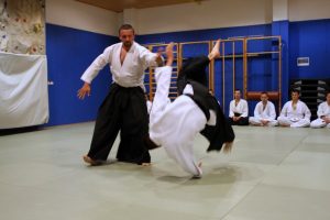 aikido sevnica 10